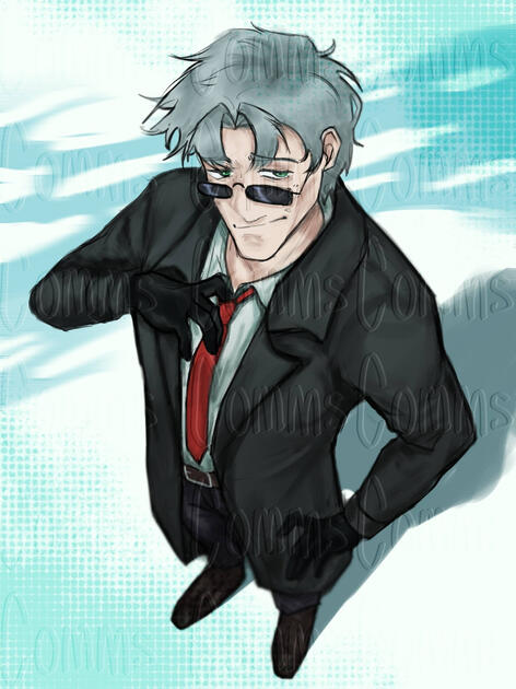 commission for DoctorNarwhal !